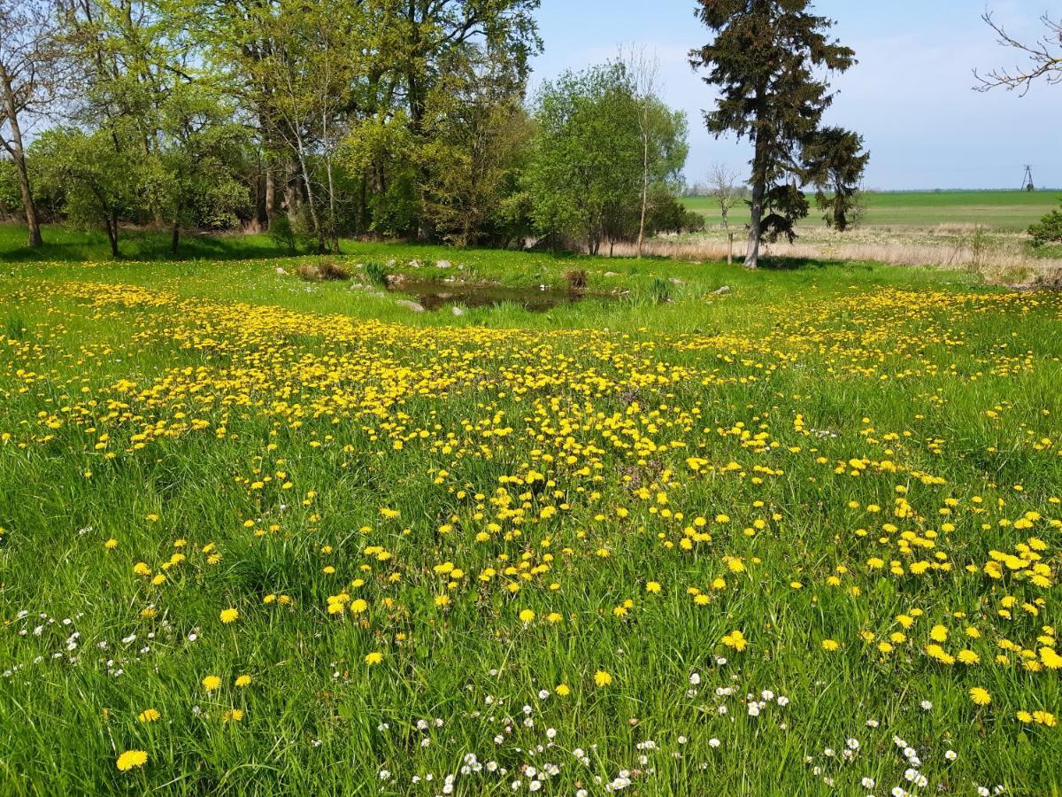 Dworek Natury Strzezenice Exterior foto